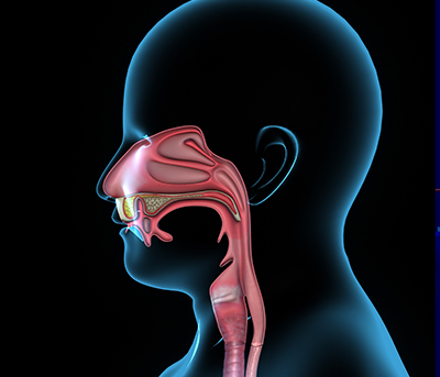 head and neck cancer head and neck cancer